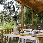 Gokova فندق 4*